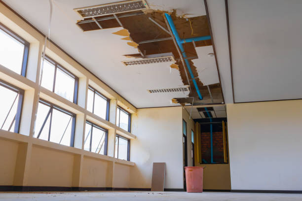 Best Basement water damage restoration  in Tanaina, AK