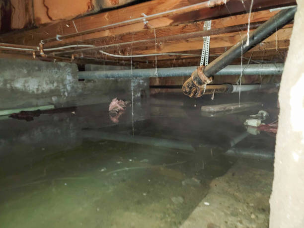 Best Residential water damage restoration  in Tanaina, AK