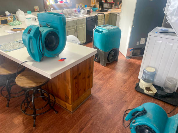 Best Water damage cleanup near me  in Tanaina, AK