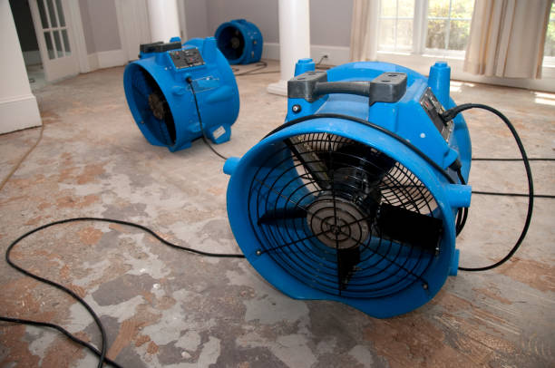 Best Flood restoration services  in Tanaina, AK