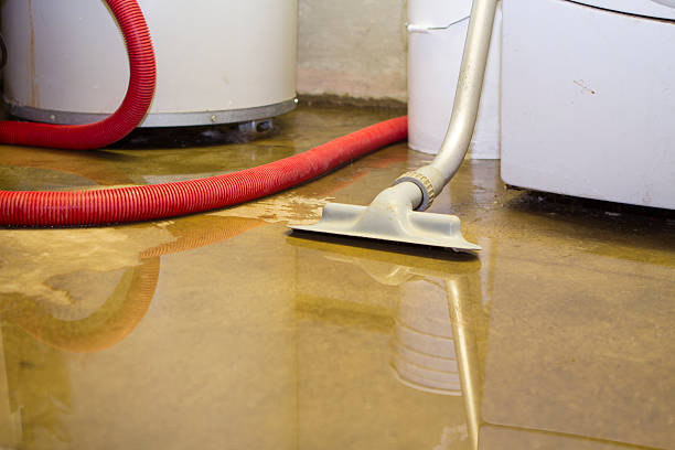 Best Water damage restoration experts  in Tanaina, AK