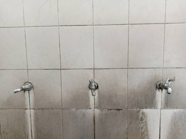 Best 24/7 water damage repair  in Tanaina, AK