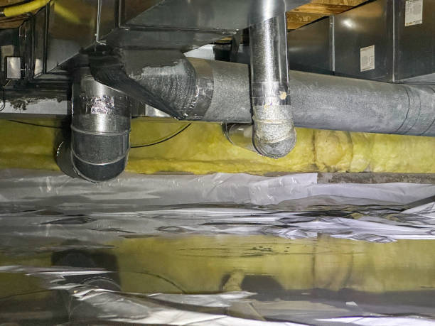 Best Ceiling water damage repair  in Tanaina, AK