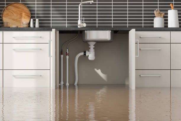  Tanaina, AK Water damage restoration Pros