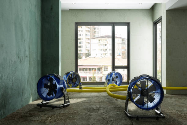 Best Water damage restoration company  in Tanaina, AK